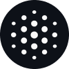 BLACKBOX AI：