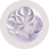 Watsonx.ai - IBM推出的企业级生成式人工智能和机器学习平台